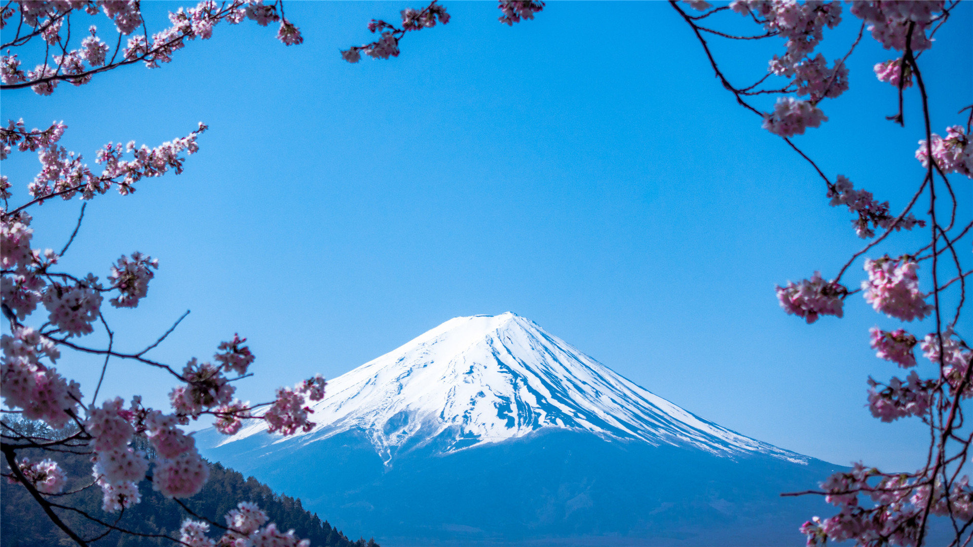 免费领取100个人空